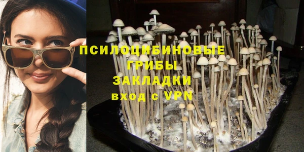 стафф Алексин