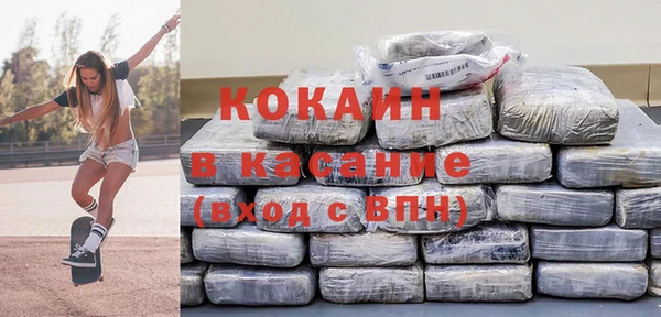 стафф Алексин