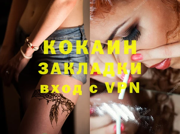 стафф Алексин