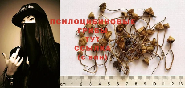 спайс Алексеевка