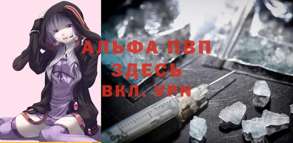 стафф Алексин